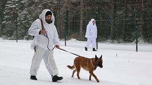 Белорусы приглашают российских пограничников для создания "совместных разведывательных пунктов" на границе с Украиной, - СМИ
