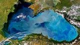 Госрыбагентство планирует сдать в аренду часть акватории Черного моря