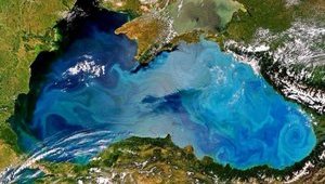 Госрыбагентство планирует сдать в аренду часть акватории Черного моря
