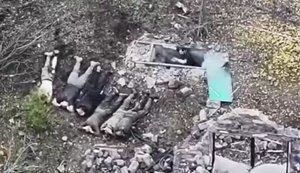 Троє українських воїнів полонили сімох російських окупантів поблизу села Вільне на Донеччині. ВIДЕО