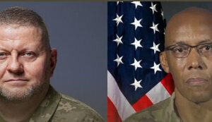 браун,залужний