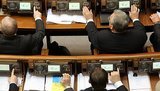 В новой Раде активисты зафиксировали среди "регионалов" факты голосования за других депутатов. ФОТОрепортаж
