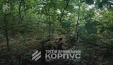 Операция "Вивальди": бойцы 125-й бригады во время первого боевого выхода взяли в плен шестерых российских оккупантов. ВИДЕО