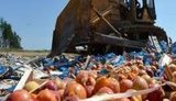 в россии уничтожение персики
