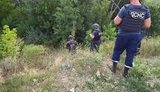 У разрушенного моста в Станице Луганской начали разминирование. ФОТО