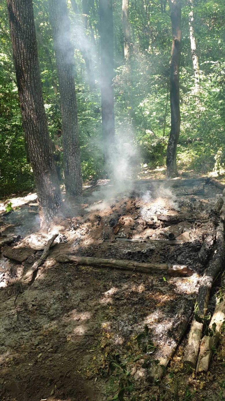 Невідомі кілька днів підряд підпалюють дерева в Голосіївському районі 06