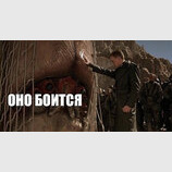 Звісно