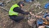 Последствия атаки на Сумскую область