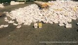 контрабанда сигареты