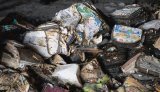 Ukrainian book publishing is once again being destroyed by Russia. What are ways to save industry?