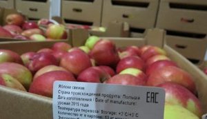 Решение по увеличению квот ЕС на украинскую сельхозпродукцию будет принято до июля, – Минагрополитики
