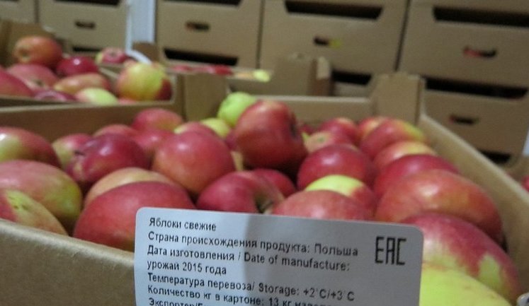 Из-за морозов Украина может потерять 30% урожая плодовых деревьев