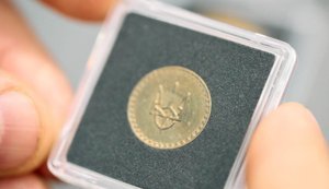 "Шаг" замість "копійки": Чому критикують реформу від Нацбанку і хто поставив ультиматум голові НБУ Пишному