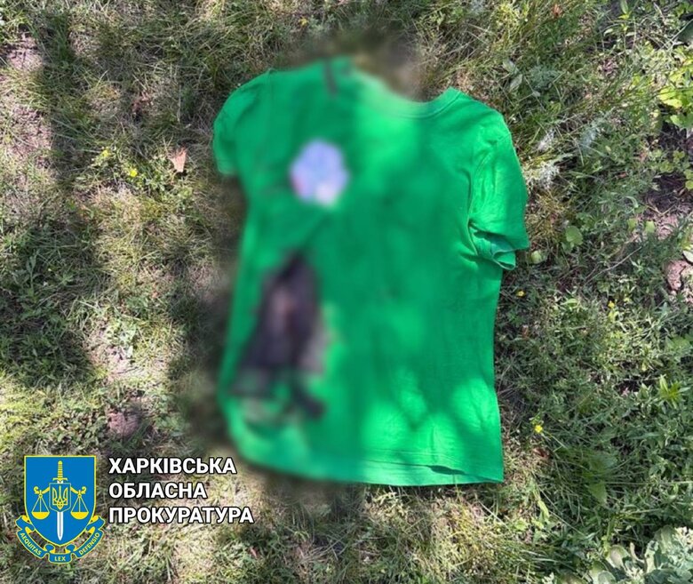 Consequences of shelling of Kozacha Lopan in Kharkiv region: Russians from tanks made about 20 hits 05