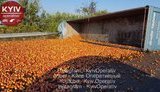 Фура с яблоками перевернулась на трассе Киев-Харьков: водитель погиб. ФОТО