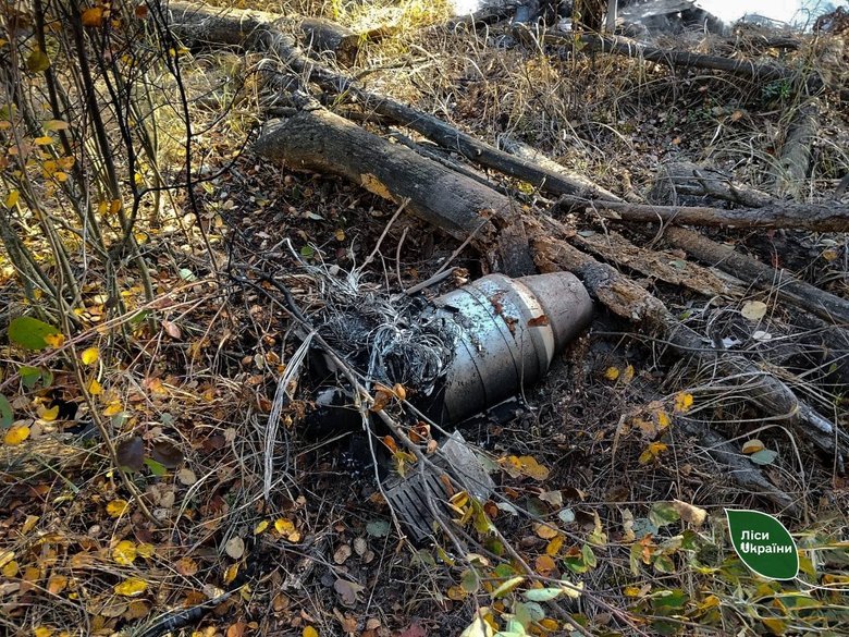Forest fires in Ukraine – 87 per cent of the area burnt this week was caused by Russian attacks
