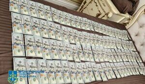 Law enforcers of Ukraine, Lithuania and Latvia expose 14 members of criminal organisation who defrauded EU citizens of over UAH 11 million. PHOTOS