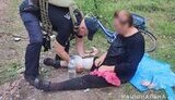 розтяжка