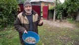 лікар,харківщина,зуби