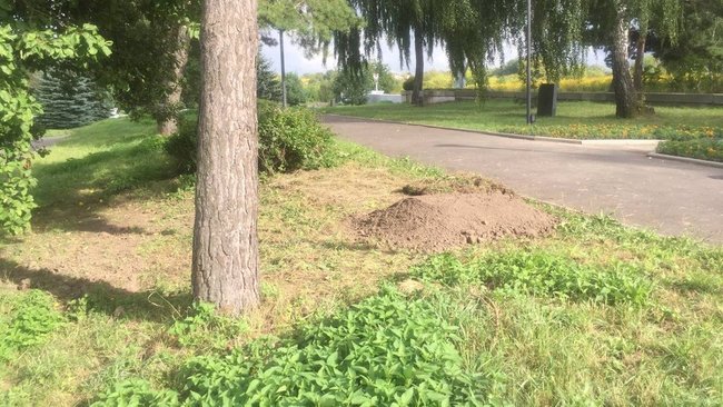 Вандали розкопали масове поховання жертв Голокосту в Рівному 04