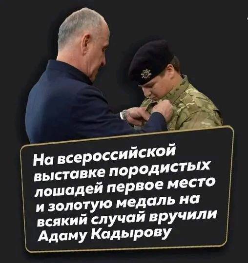 В мире животных