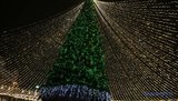 Доступ к главной елке в Киеве ограничивать не будут, на открытом пространстве передача инфекции очень мала, - Рубан