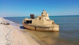 В Азовском море затонуло судно РФ, перевозившее пшеницу: причиной аварии якобы стала атака БПЛА. ВИДЕО+ФОТО