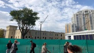 Дерева в місті: як зупиняємо їх знищення?