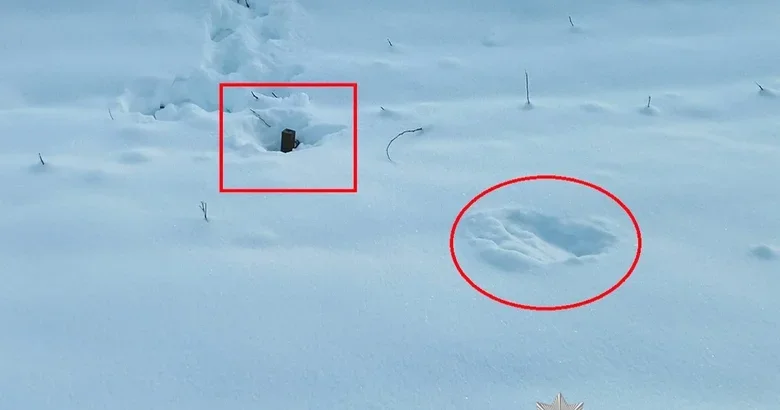 Anti-tank mines dropped in Rivne region