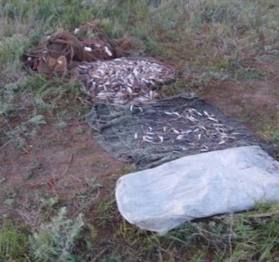 Біля озера Сиваш на Херсонщині затримано місцевих браконьєрів 01
