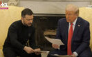 трамп,зеленый