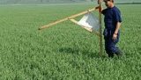 Госгеокадастр представил портал геопространственных данных