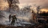 Орієнтовна сума збитків через пожежі на Житомирщині - 25 млн грн, цього тижня розглянуть питання про їхню компенсацію, - доповідь Зеленському