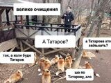 Велике очищення