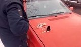 Воры обокрали квартиру, находясь под круглосуточным домашним арестом за подобное преступление, - Нацполиция. ВИДЕО