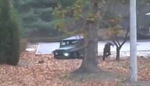 Військовослужбовець КНДР тікає до Південної Кореї. ВІДЕО камер спостереження