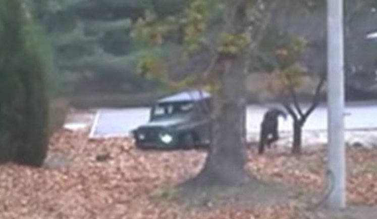 Військовослужбовець КНДР тікає до Південної Кореї. ВІДЕО камер спостереження