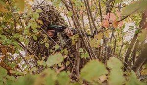 Escalation in the South