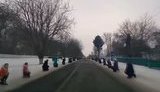 шамрай