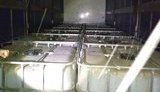 Податківці вилучили на Полтавщині партію нелегального спирту вартістю 7,3 млн грн. ФОТО