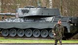 one,один,леопард,leopard