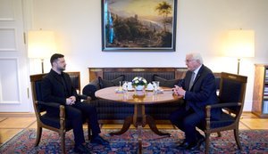 Зеленський обговорив зі Штайнмаєром дипломатичну ситуацію: є спільна позиція щодо суверенітету. ФОТО