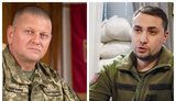 буданов,кирило,валерій,залужний
