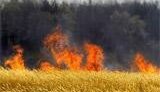 Медведев объявил режим чрезвычайной ситуации в 7 областях России!