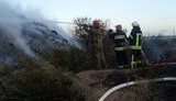 пожар свалка область донецкая