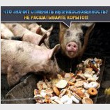 Неприкасаемые