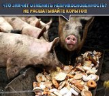 Неприкасаемые