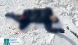 бахмут,обстріл