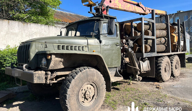ДБР виявило незаконні вирубки лісу у трьох областях на майже 15 мільйонів