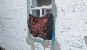 Атака БПЛА на Миргородський район Полтавщини: уламками пошкоджено 10 господарств. ФОТОрепортаж